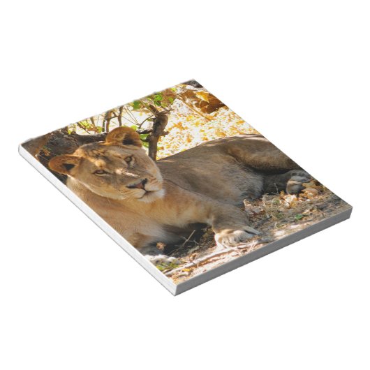 Siesta Time Notitieblok (Schuin)