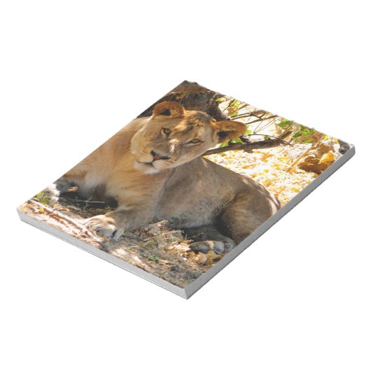 Siesta Time Notitieblok (Linkerzijde)