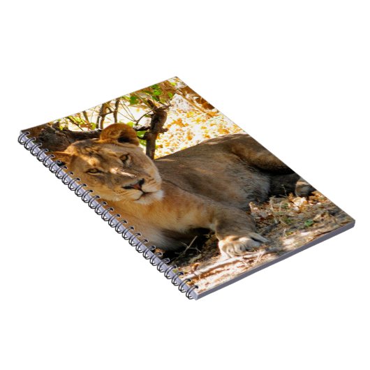 Siesta Time Notitieboek (Rechterzijde)