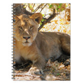 Siesta Time Notitieboek (Voorkant)