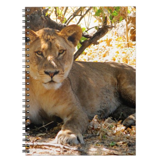 Siesta Time Notitieboek (Voorkant)