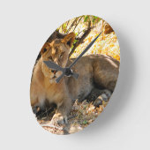 Siesta Time Ronde Klok (Hoek)