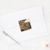 Siesta Time Vierkante Sticker (Envelop)