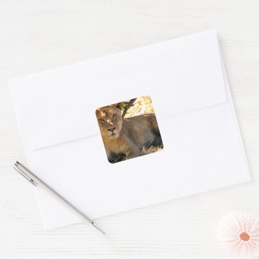 Siesta Time Vierkante Sticker (Envelop)