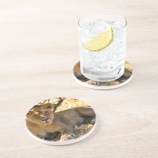 Siesta Time Zandsteen Onderzetter (Zijkant)