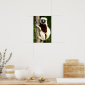 Sifaka Lemur in Madagascar Forest Poster (Keuken)