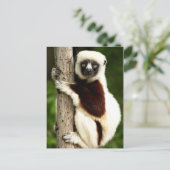 Sifaka Lemur in Madagaskar bos Briefkaart (Staand voorkant)