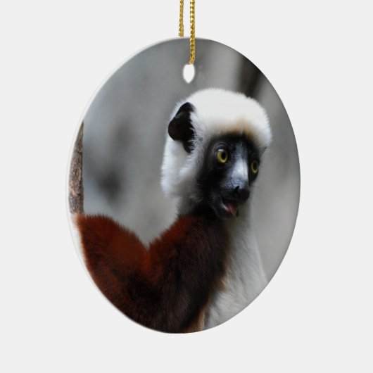 Sifaka Lemur Ornament (Rechts)