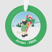 Sifaka Lemur Ornament (voorkant)