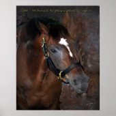 Sigaar Poster (Voorkant)