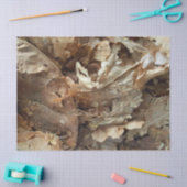 Sigarenrokers Tabaksblad Textuur Tissuepapier (Craft)