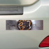 Sigarette Butts in Silver Smokers Ashtray, Funny Bumpersticker (Op auto)