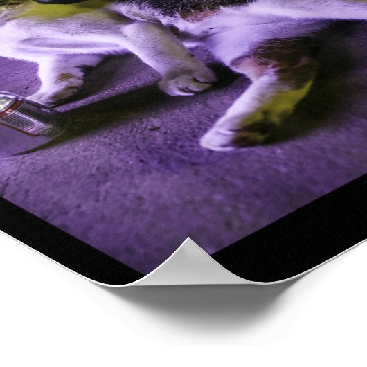 Sigarettenkitten Grappig Roken Kat Meme Stompzinni Poster (Hoek)