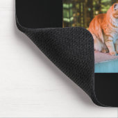 Sigarettenkitten Grappig Roken Kat Meme Stud Herse Muismat (Hoek)