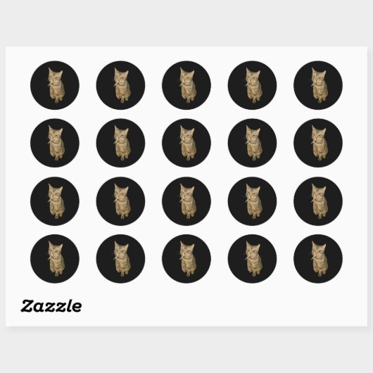 Sigarettenkitten Grappig Roken Kat Meme Stud Herse Ronde Sticker (Vel)