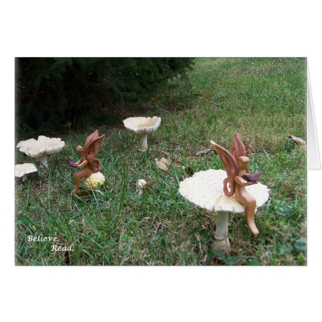 sigh_demidamsels_Geloof_5213 (Voorkant Horizontaal)