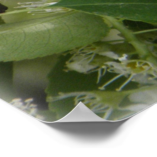 SIGH_ets_loa_P5140161g Poster (Hoek)