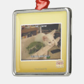 Sigh. Iz bored Metalen Ornament (Links)