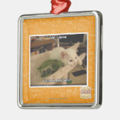 Sigh. Iz bored Metalen Ornament (Links)