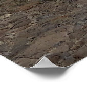 Sighisoara Medieval Town Transsylvania Poster (Hoek)