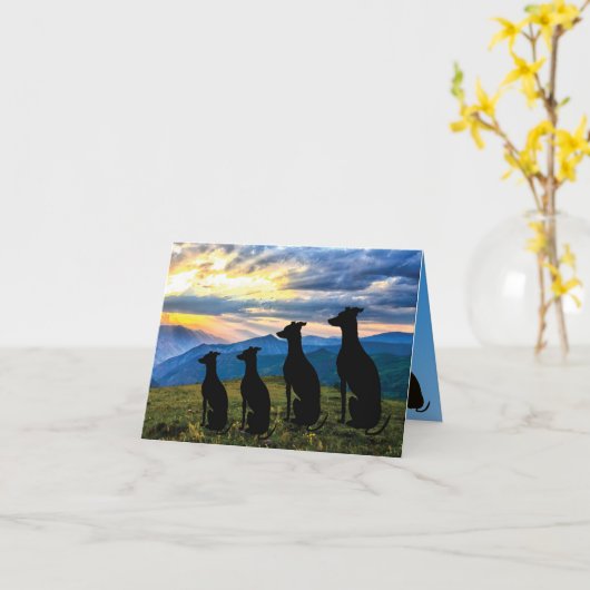 Sighthound Sunset Kaart (Gele Bloem)