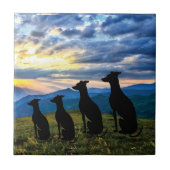 Sighthounds - Greyhound Sunset Tegeltje (Voorkant)