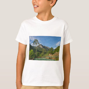 Sigiriya Rock Sri Lanka T-shirt – Reissouvenir
