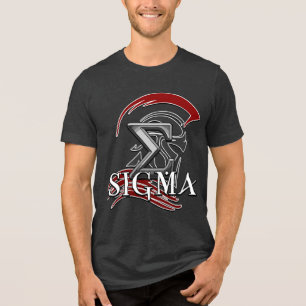 SIGMA 3b Heren Basic T-Shirt