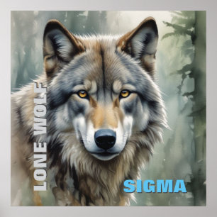 Sigma Mannelijke Alleenwolf Poster