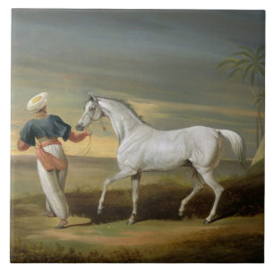 Signaal, een grijze Arabier, met een Groom in de w Tegeltje