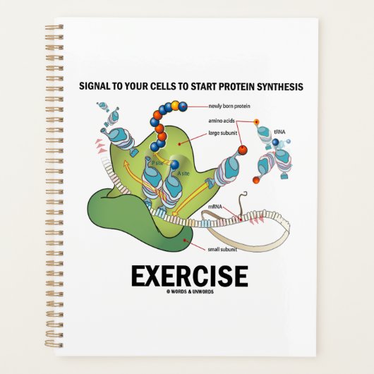 Signaalcellen om te beginnen met Protein Synthesis Planner (Voorkant)