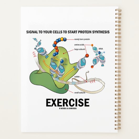 Signaalcellen om te beginnen met Protein Synthesis Planner (Achterkant)