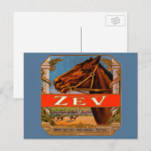  signaaletiket, Zev Race Horses Brown Colt Briefkaart (Voorkant / Achterkant)