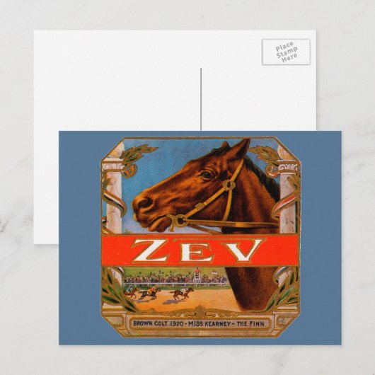  signaaletiket, Zev Race Horses Brown Colt Briefkaart (Voorkant / Achterkant)