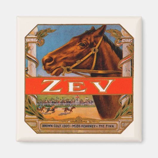 signaaletiket, Zev Race Horses Brown Colt Magneet (Voorkant)