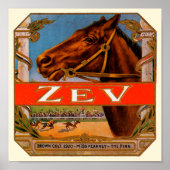 signaaletiket, Zev Race Horses Brown Colt Poster (Voorkant)
