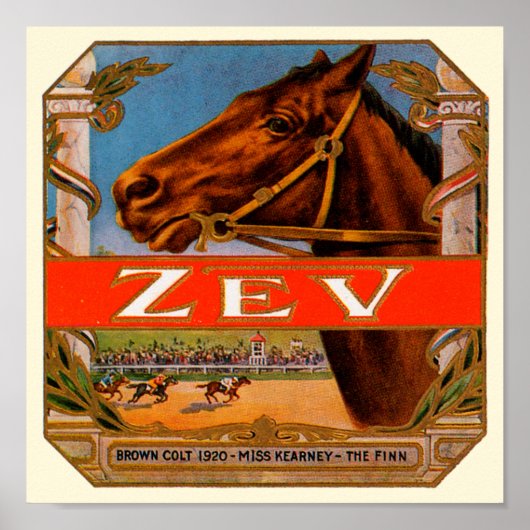 signaaletiket, Zev Race Horses Brown Colt Poster (Voorkant)