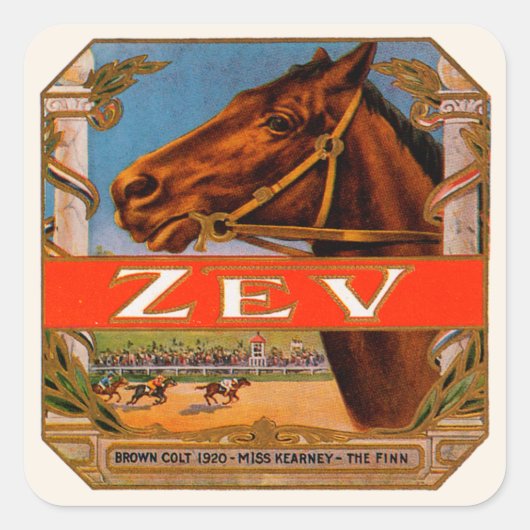 signaaletiket, Zev Race Horses Brown Colt Vierkante Sticker (Voorkant)
