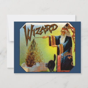 signaallabel, magische wizard met zwart katje