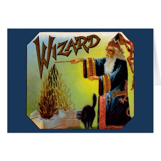  signaallabel, magische wizard met zwart katje (Voorkant Horizontaal)
