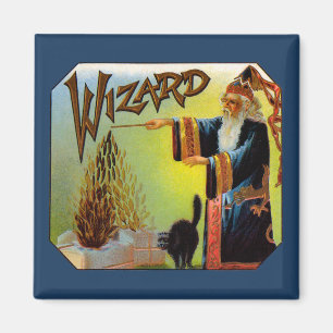 signaallabel, magische wizard met zwart katje magneet