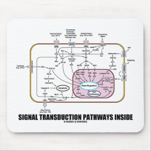Signaaltransductieroutes binnenin (celbiologie) muismat