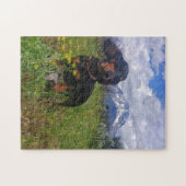 Signal Mountain Legpuzzel (Horizontaal)