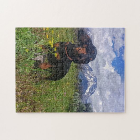 Signal Mountain Legpuzzel (Horizontaal)