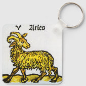  signalen van de dierentuin, waardoor de zwerm sleutelhanger (Achterkant)