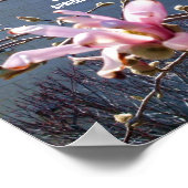 SIGNALEN VAN HET poster VAN DE SPRING (Hoek)