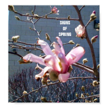 SIGNALEN VAN HET poster VAN DE SPRING