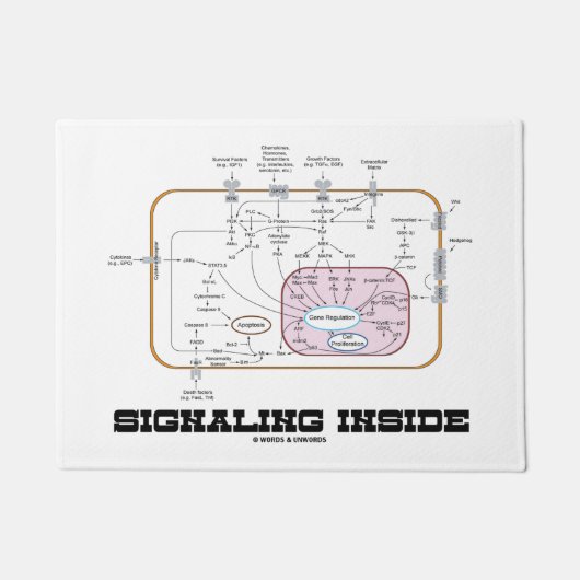 Signalerende trajecten voor de binnenvaart van sig deurmat (Voorkant)