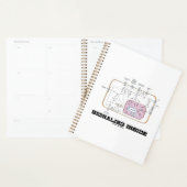 Signalering binnen signaaltransductieroutes planner (Display)