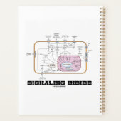 Signalering binnen signaaltransductieroutes planner (Achterkant)